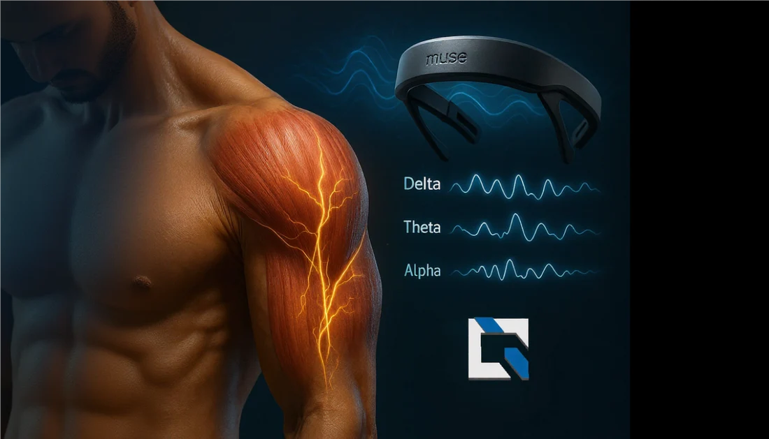 Q-Technology-Deltoide-Moyen-Muse-_HpKw1Ce